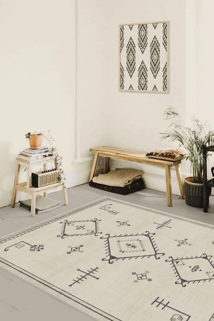5 Best Rugs for Pets Top DogFriendly (and CatFriendly) Rugs